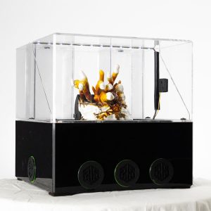 FOREST FLOOR™ Model 101 - Base Model